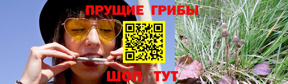 Галлюциногенные грибы Magic Shrooms  Вход с VPN  Корсаков 